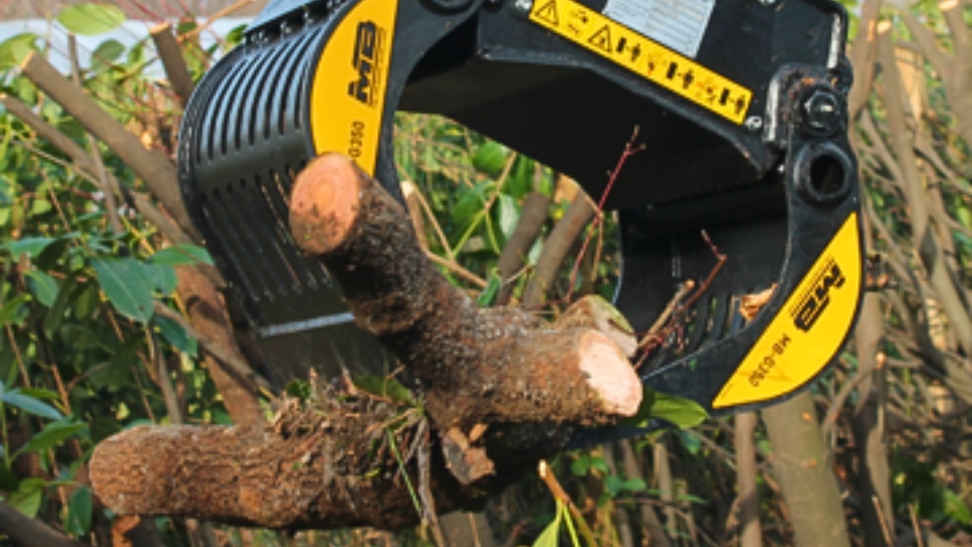 Scavi e movimentazione terra